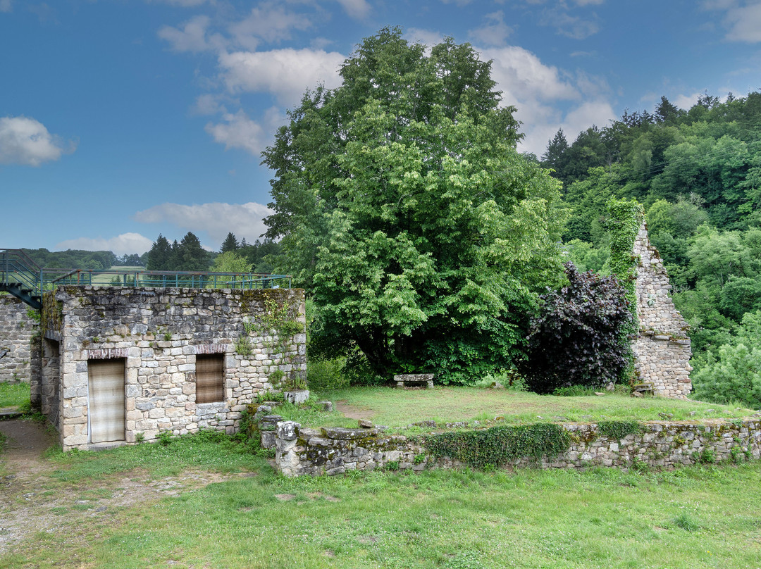 Ruines Château De La Roche Haute