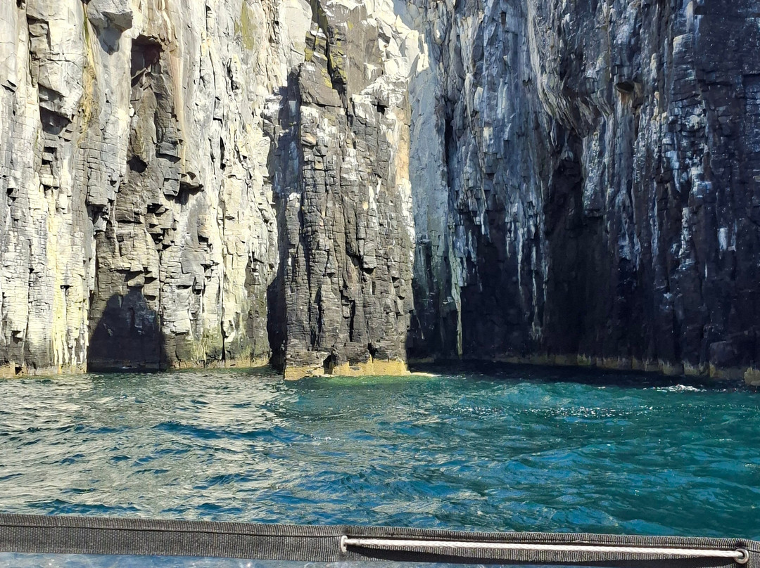 Isle Of May Boat Trips-Anstruther必去景点