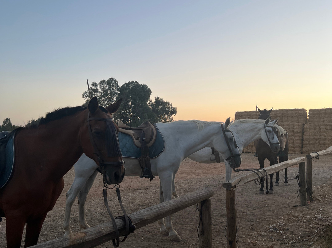 Dehesa Boyal-Villamanrique de la Condesa必去景点