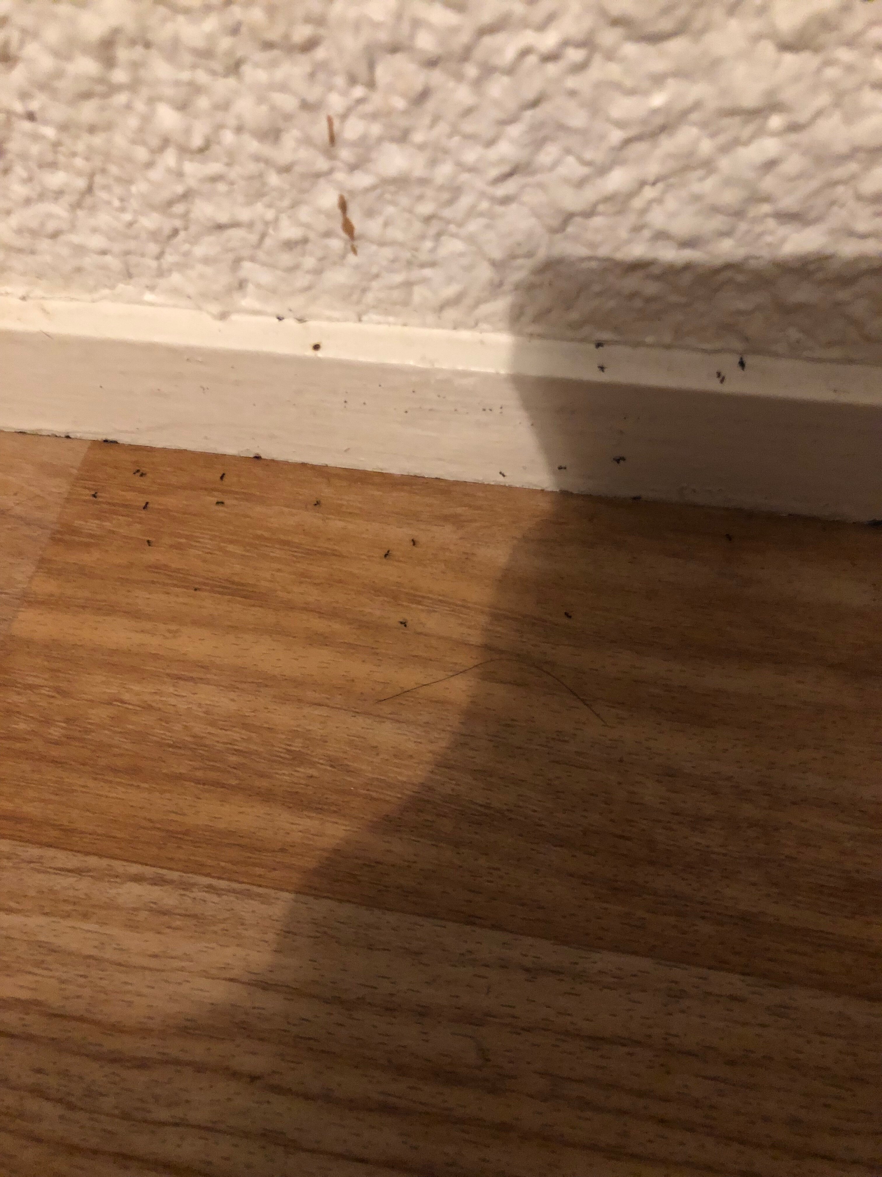 Résidence Odalys Référence Résidence du Port-官方