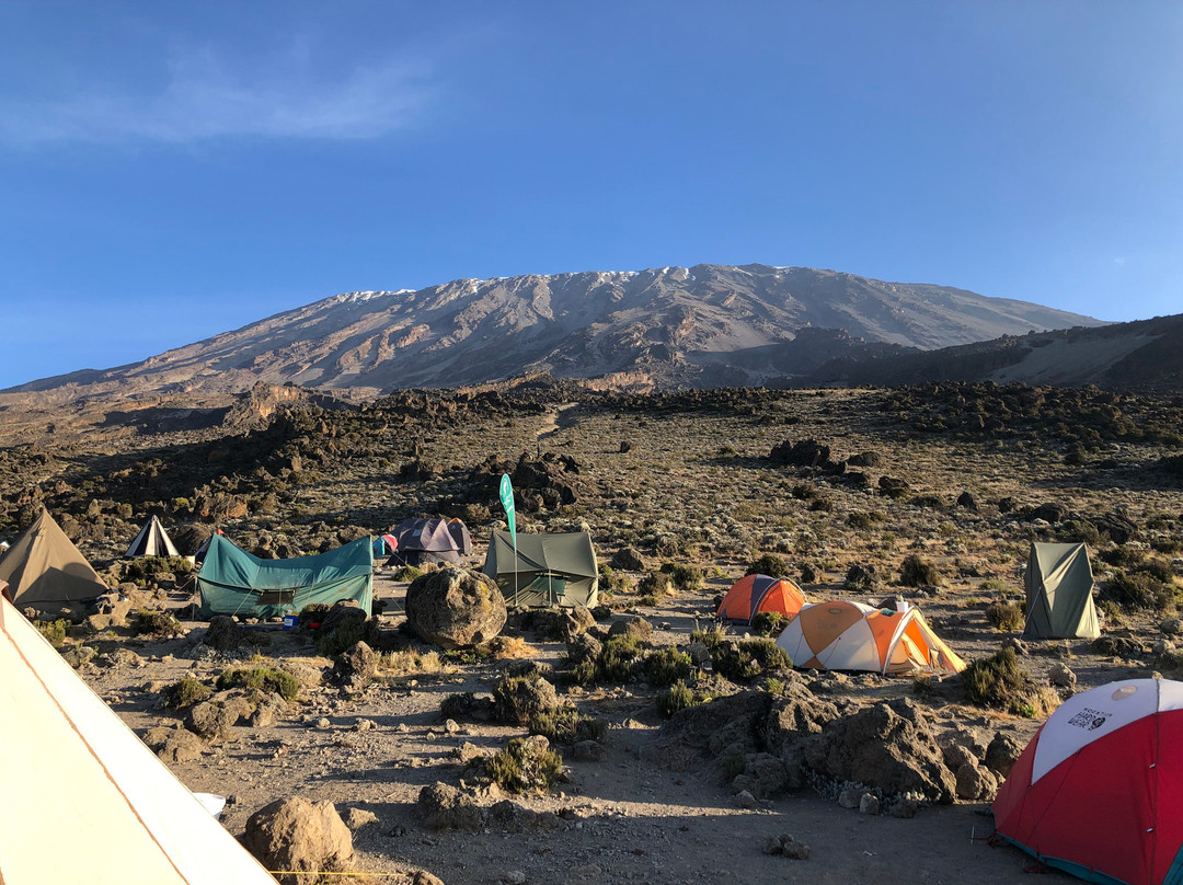 Eco-Africa Climbing-莫西必去景点