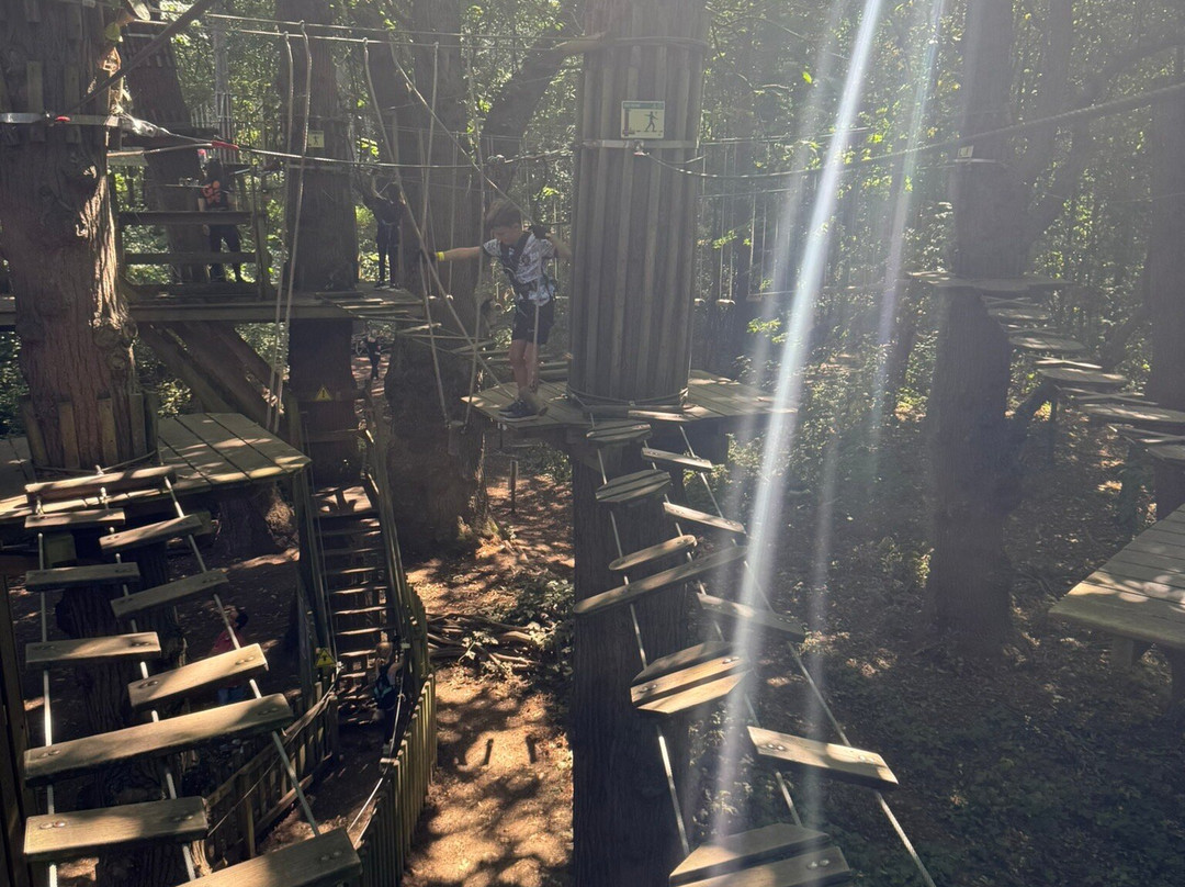 Go Ape Leeds Castle-Leeds必去景点
