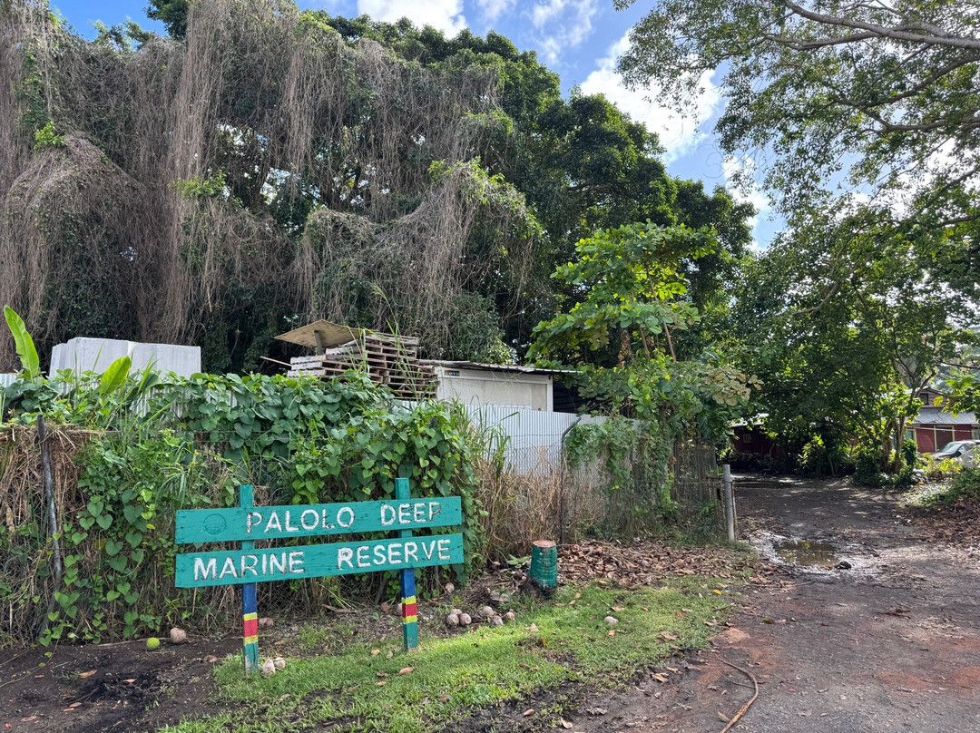 Palolo Deep Marine Reserve-阿皮亚必去景点