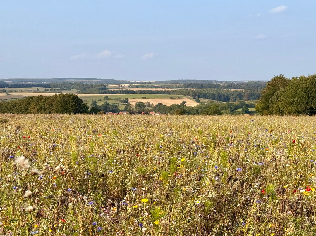 The Flower Belt-赫尔姆斯利必去景点