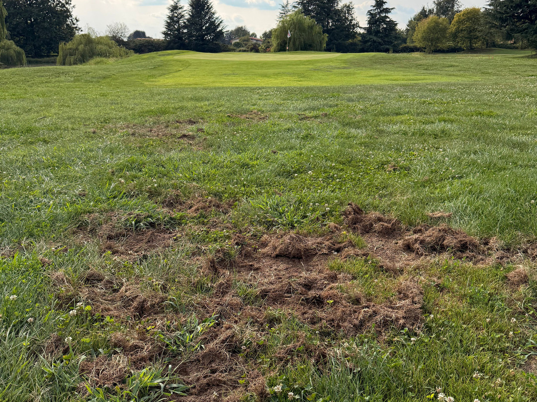 Green Club Golf Lainate-拉伊纳泰必去景点