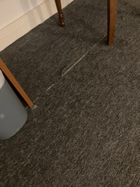 Celtic International Hotel Cardiff Airport主图