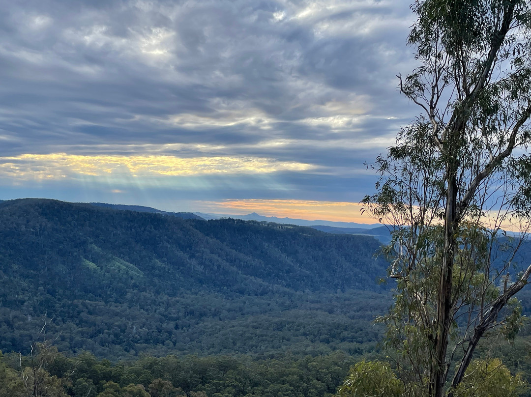 ParkTours-Beechmont必去景点