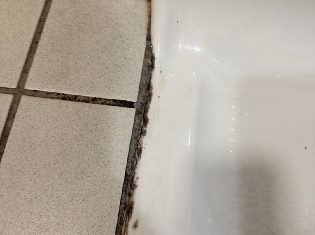 罗拉贝蒙特旅馆套房酒店主图