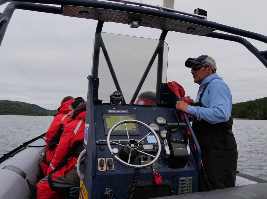 Sea of Whales Adventures-Trinity必去景点