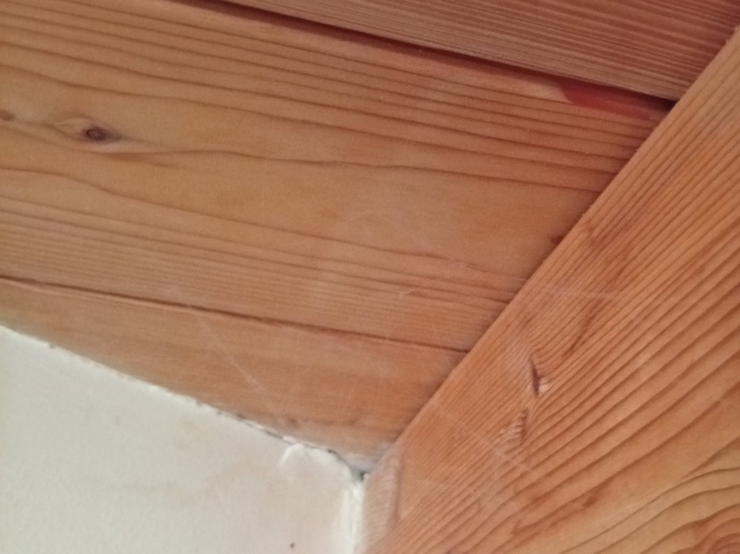 Rocca Degli Etnei主图