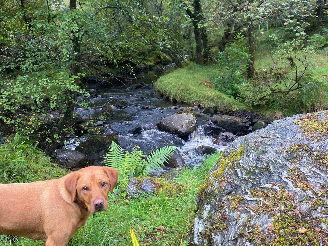Kilfinan Community Forest-Tighnabruaich必去景点