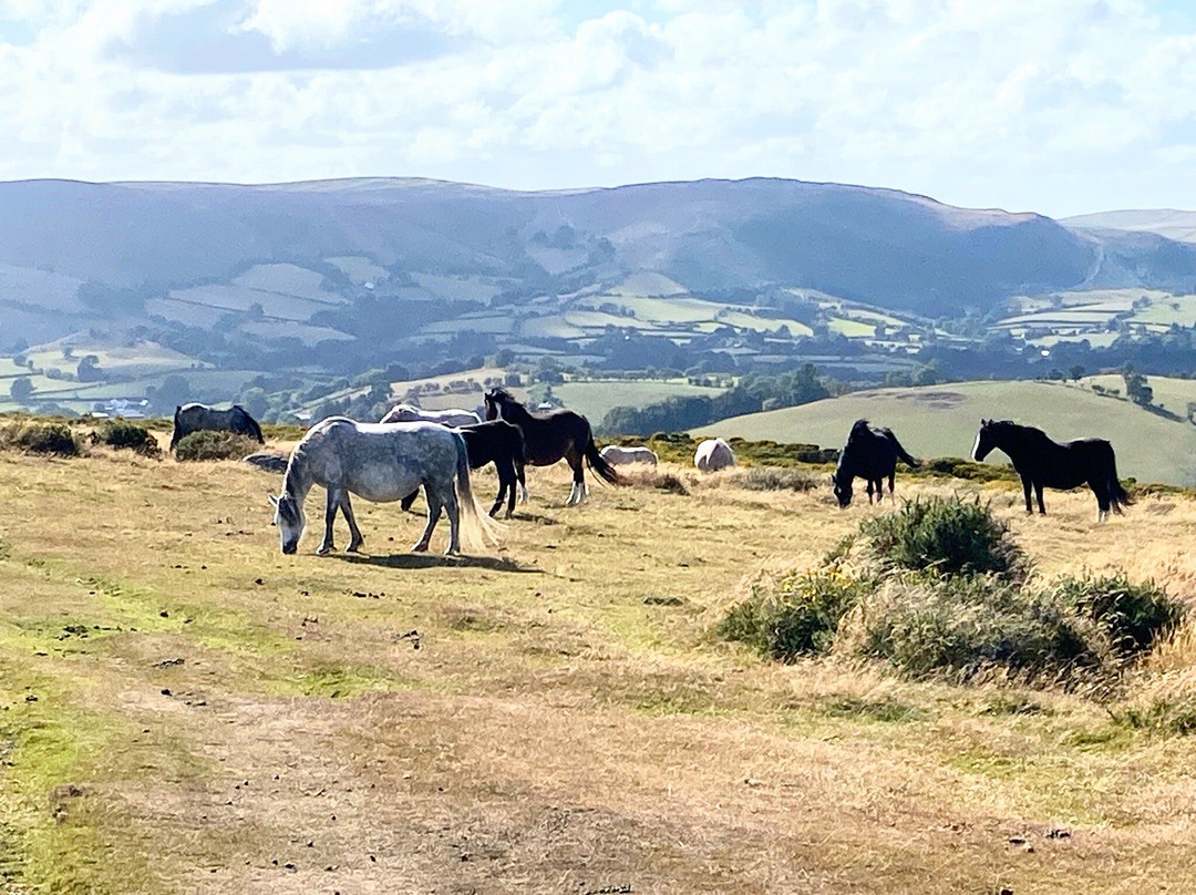 Hergest Ridge-Kington必去景点
