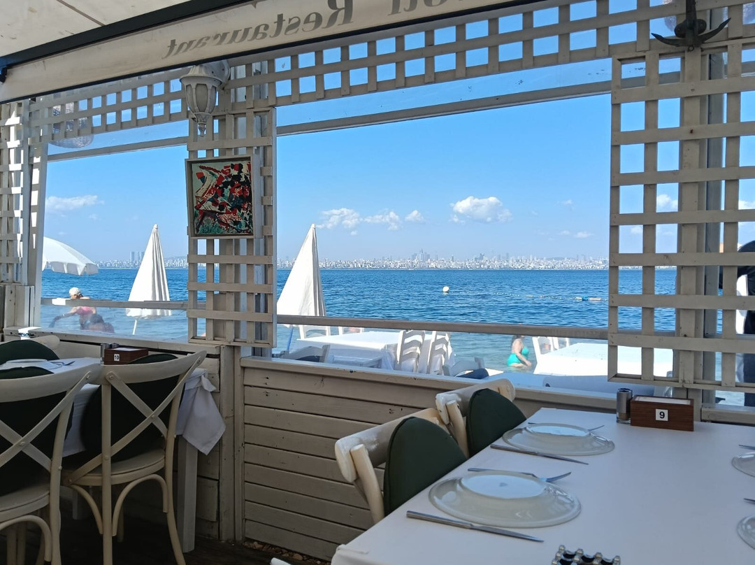 Proti Restaurant主图