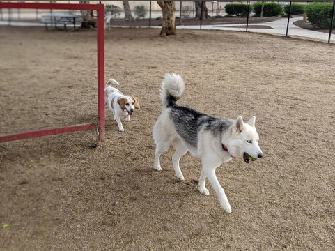 E. L. Pete Petersen Park