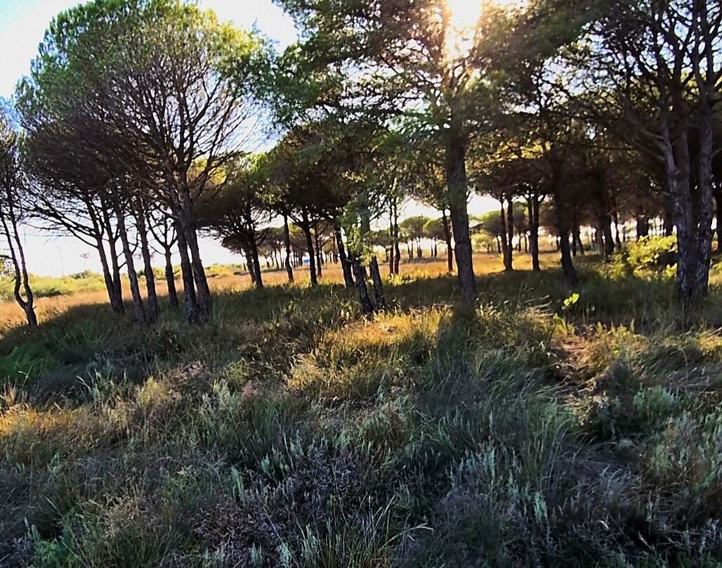 Durres Horse Village-Rinia必去景点