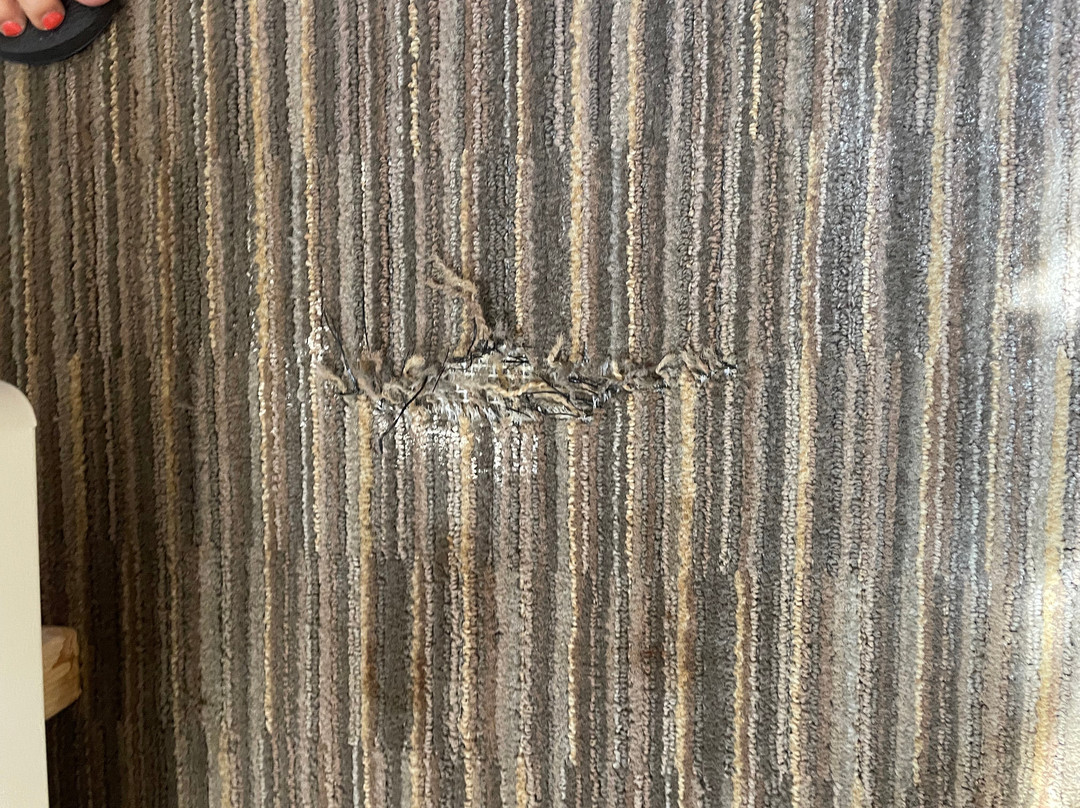 Hampton Inn Norfolk Naval Base主图