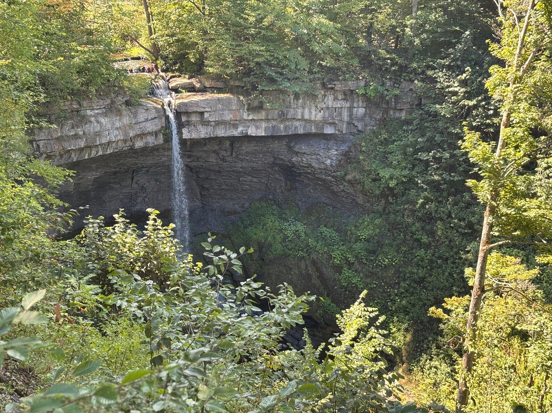 Carpenter Falls-Skaneateles必去景点