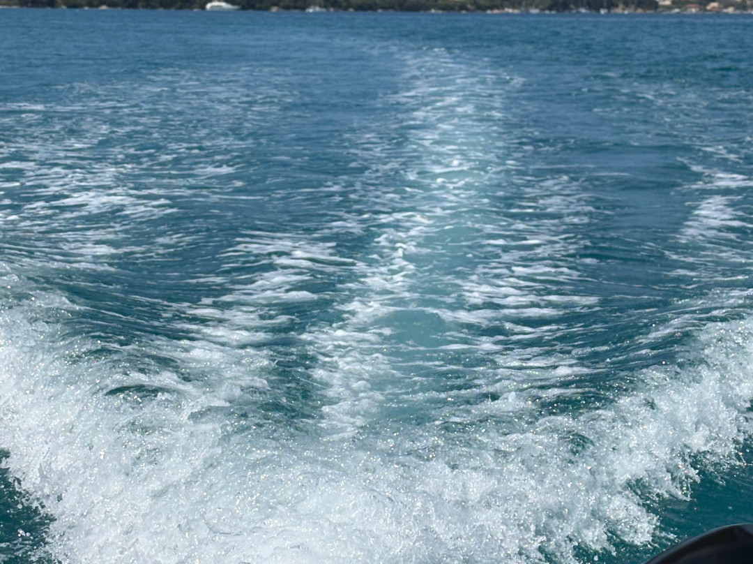 Captain Homer's Boat Trips-Messonghi必去景点