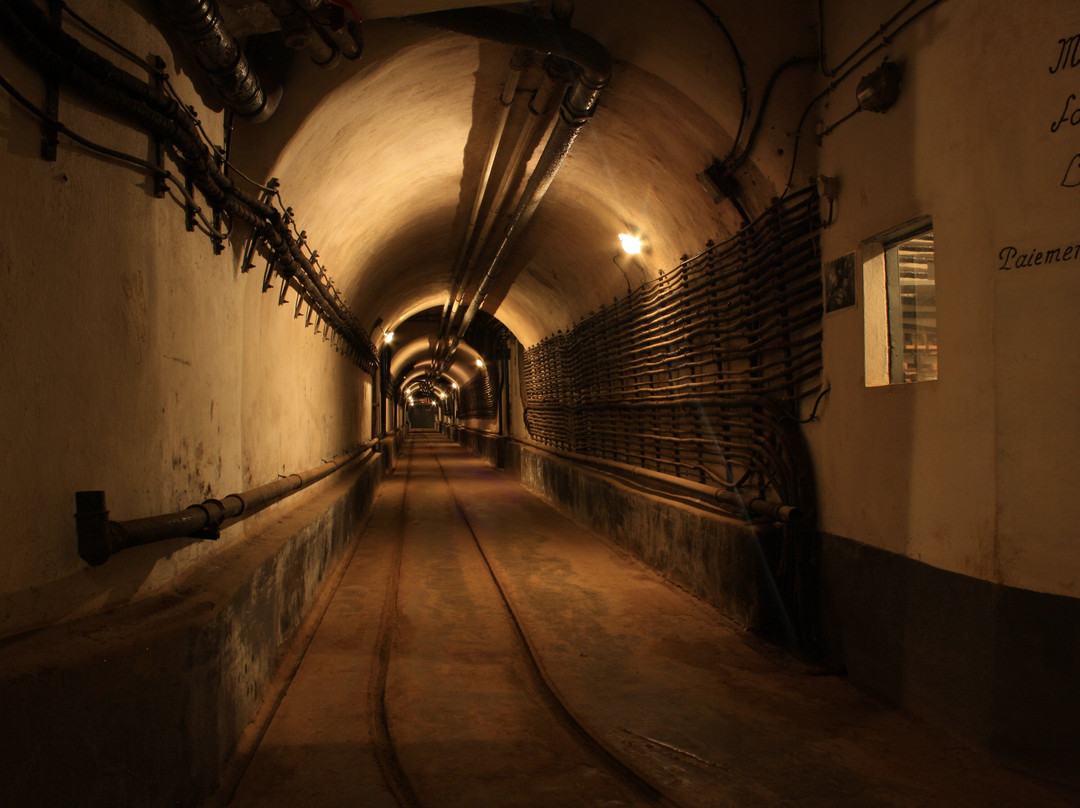 Ouvrage du Galgenberg - Ligne Maginot Secteur Fortifié du Bois de Cattenom-Cattenom必去景点