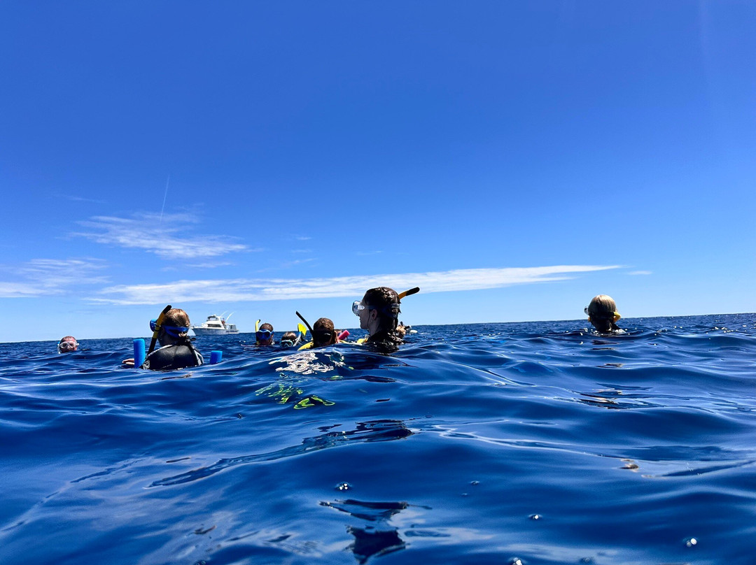 Ningaloo Discovery-埃克斯茅斯必去景点