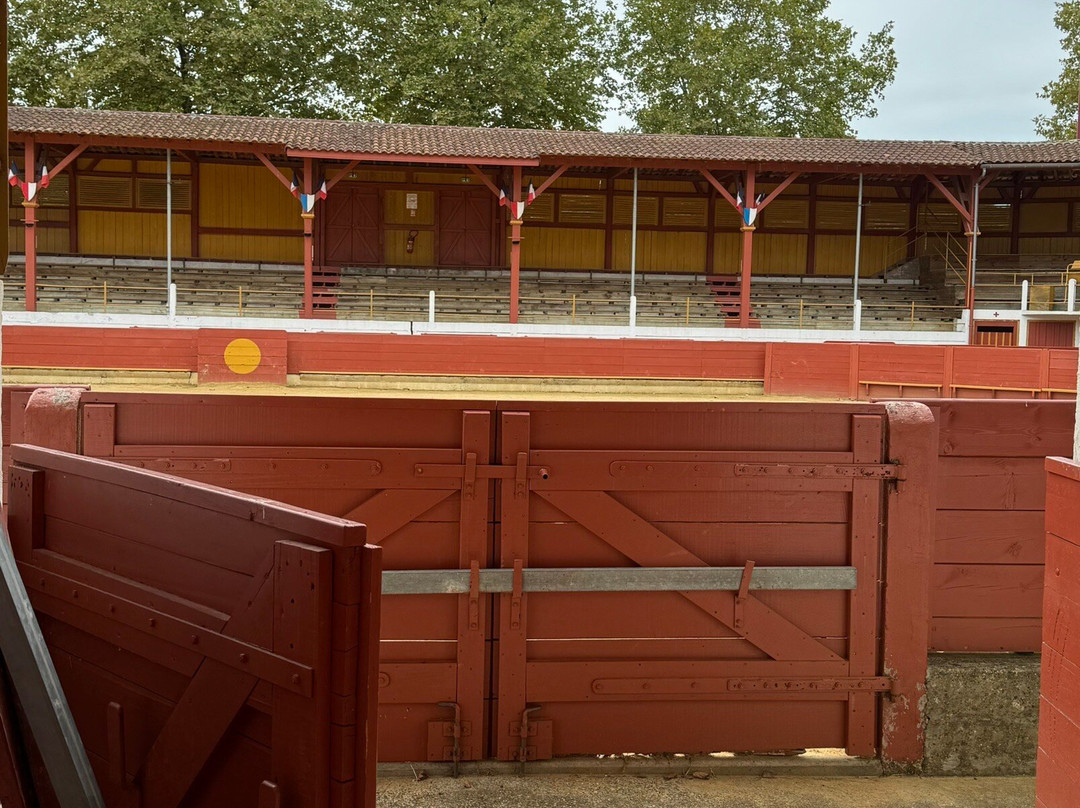 Arènes De Rion Des Landes-Rion-des-Landes必去景点