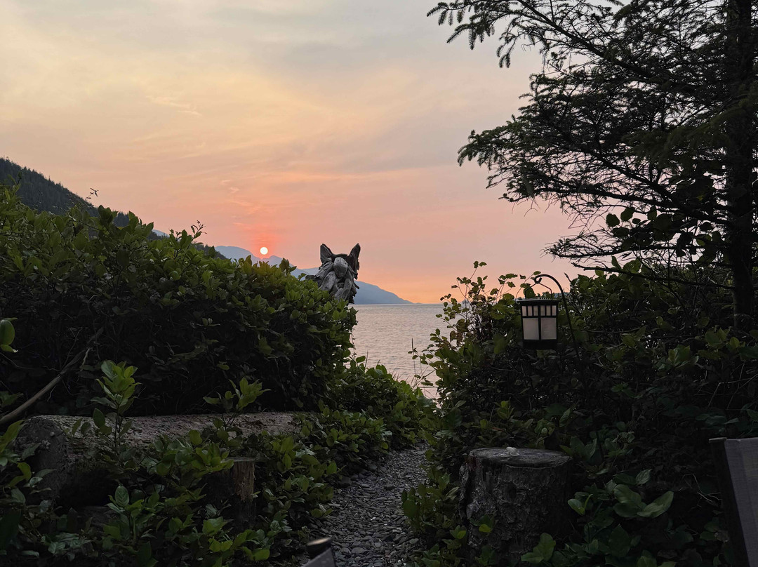 Grey Wolf Expeditions-黑溪必去景点