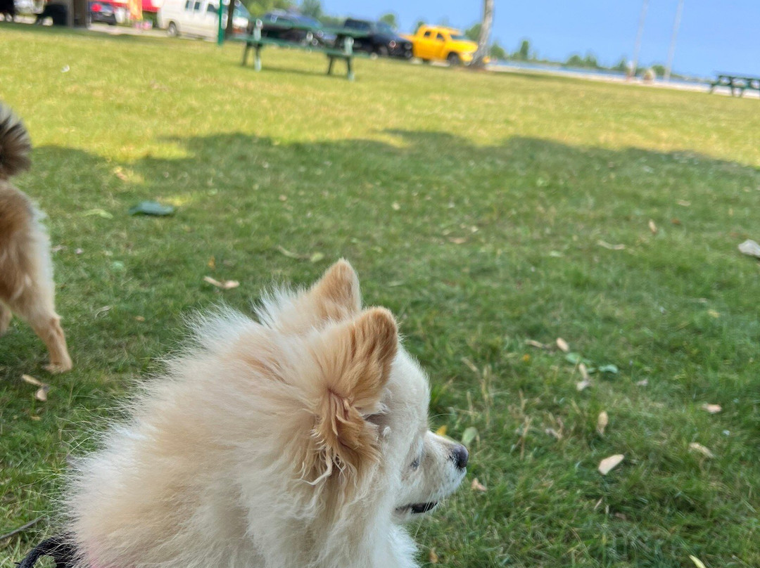Pointe aux Barques Lighthouse-Port Hope必去景点