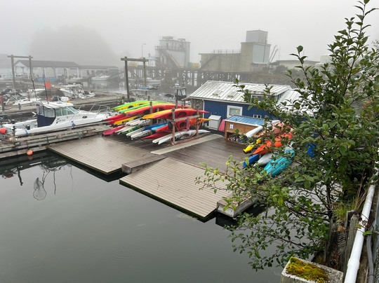 Paddle West Kayaking-托菲诺必去景点