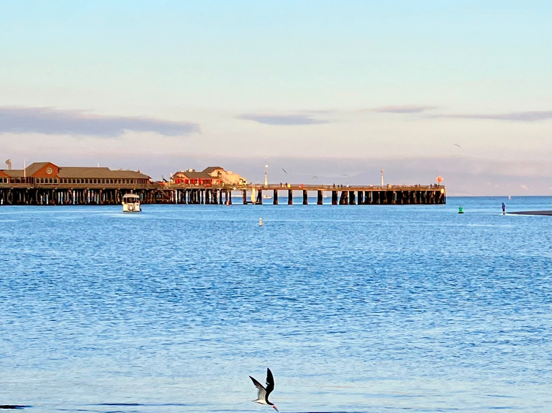 Avania Inn Of Santa Barbara主图