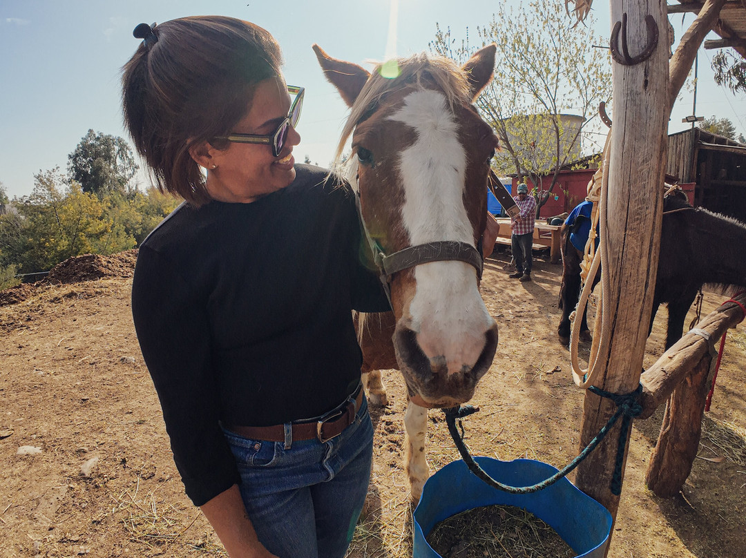 Cabalgatas Santiago-圣地亚哥必去景点