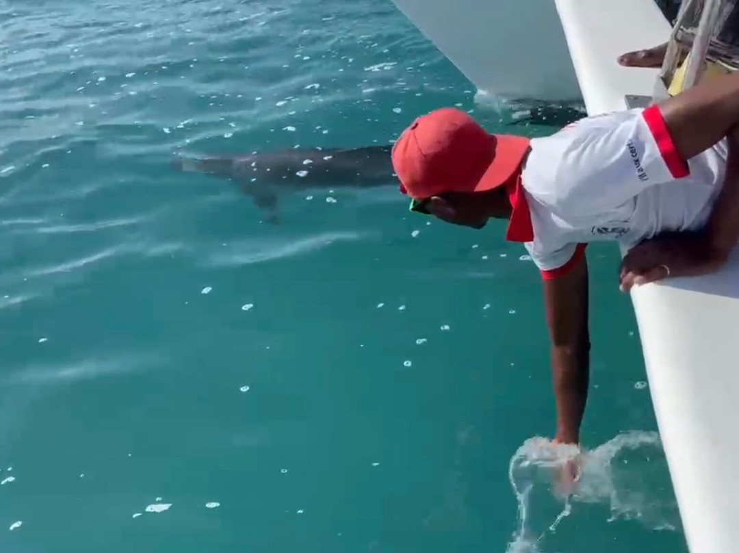 Neptune Pirate Company Ltd-路易士港必去景点