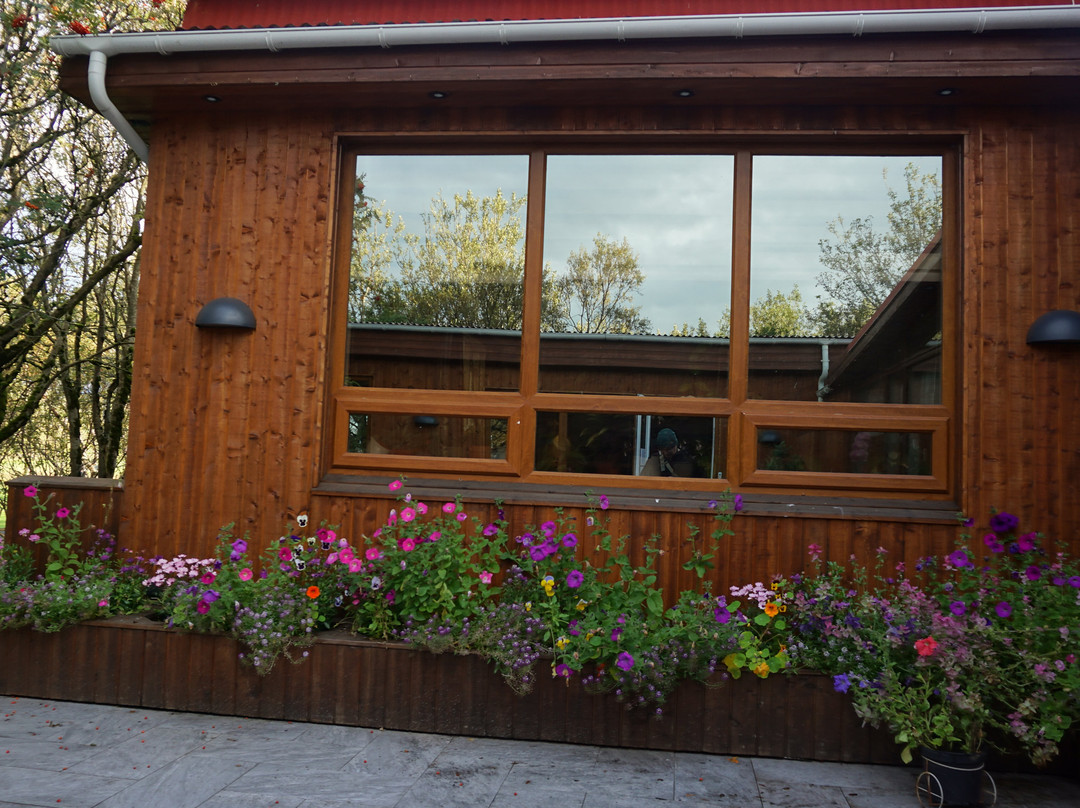 Solheimahjaleiga Guesthouse主图