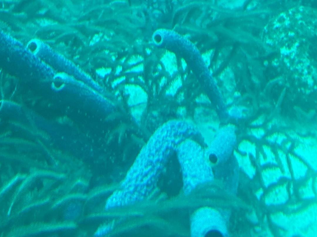 阿鲁巴巴拉特拉公园酒店主图