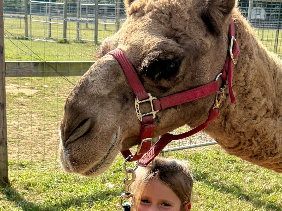 Ocoee Riverside Farm-Benton必去景点