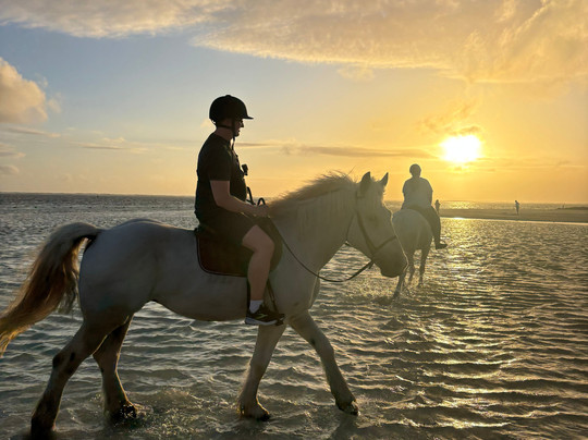 Legasea Stables Mauritius-Quatre Cocos必去景点