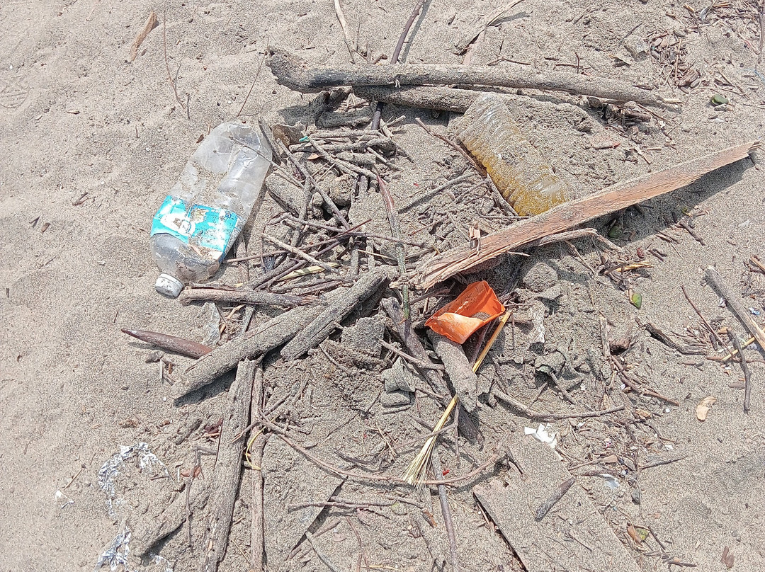 Playa San Pedrito-曼萨尼约必去景点