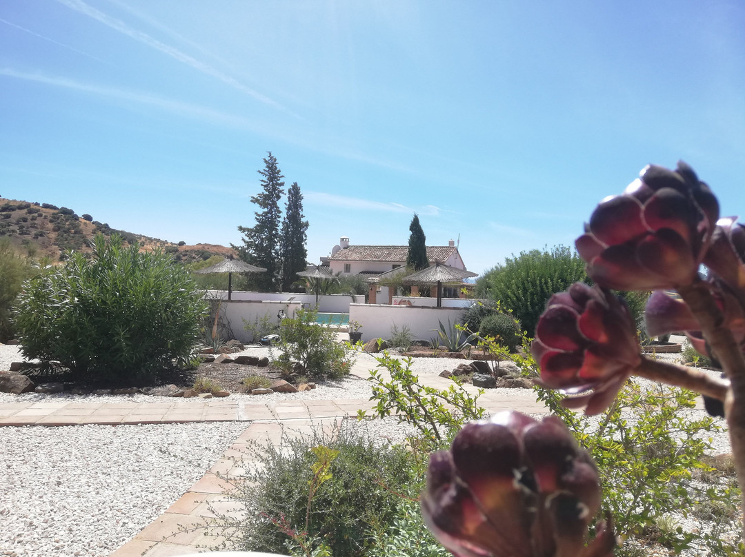 巴尔韦德庄园酒店主图