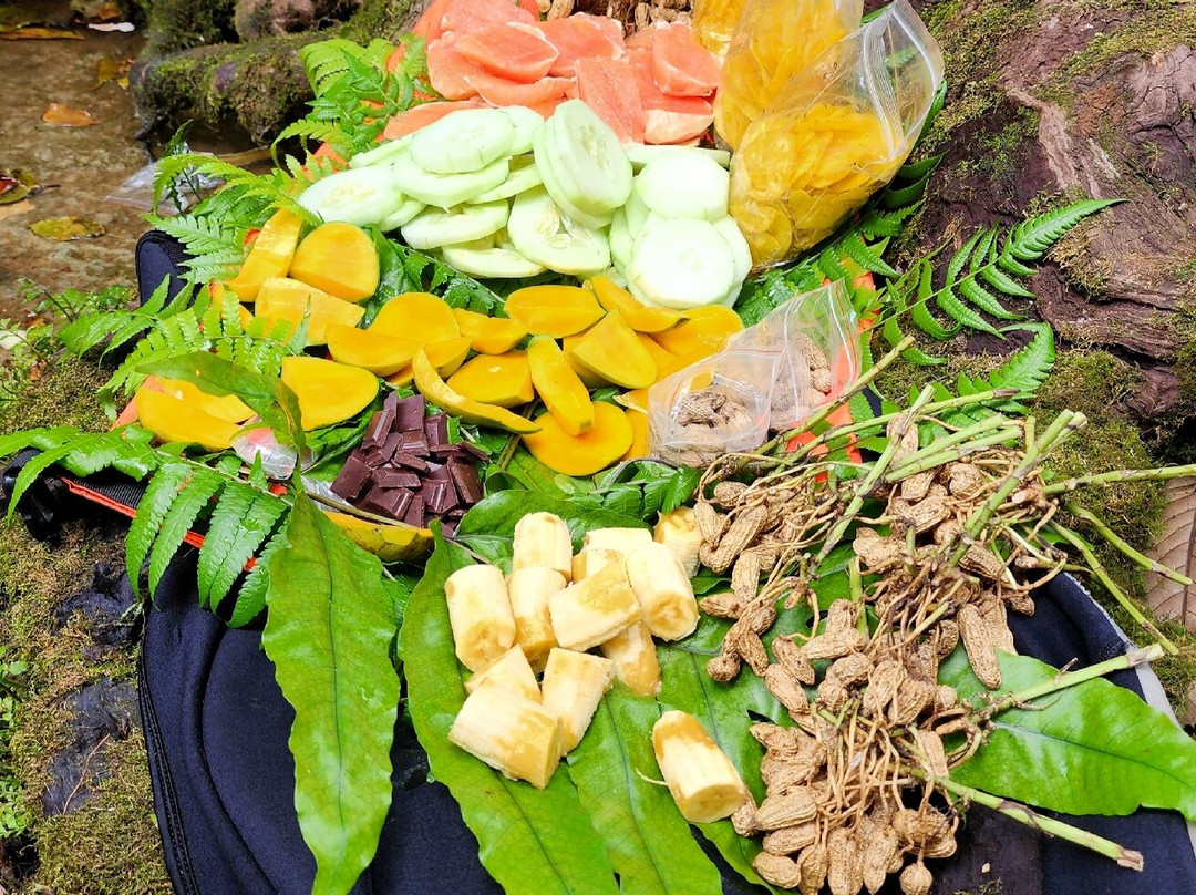 Santo Heritage Tours-卢甘维尔必去景点