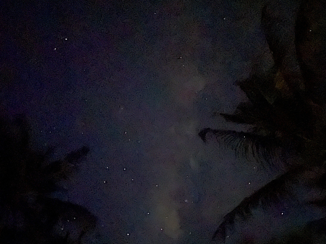 The Lumbung Tejakula主图