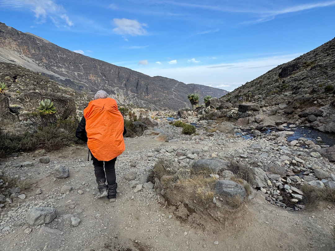 Tranquil Kilimanjaro-Machame必去景点