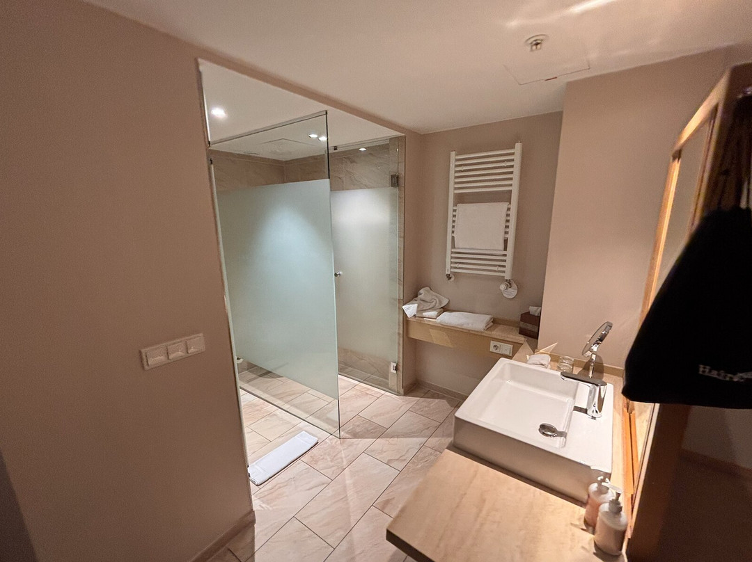 Delta Hotels by Marriott Frankfurt Offenbach主图