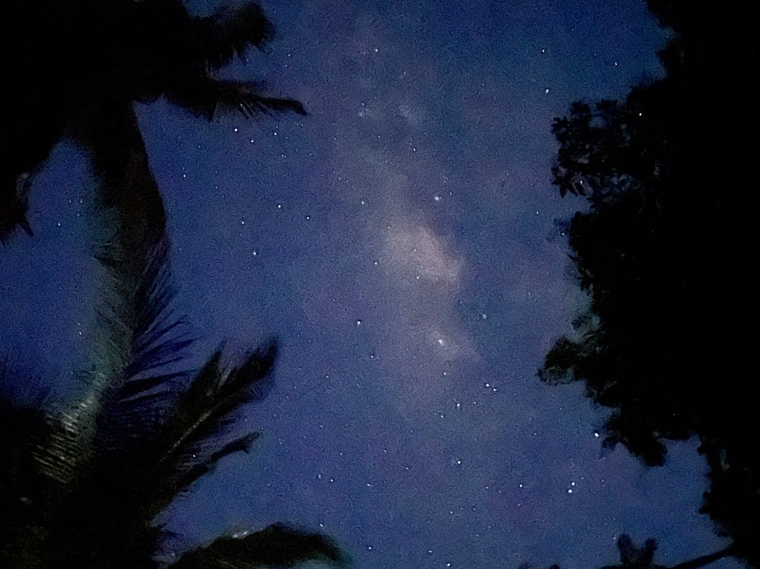 The Lumbung Tejakula主图