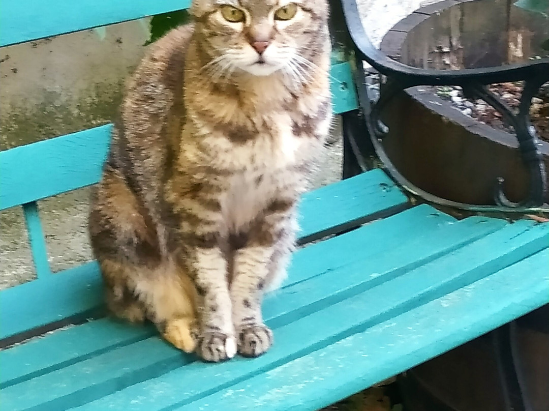 Auberge Cocagne主图