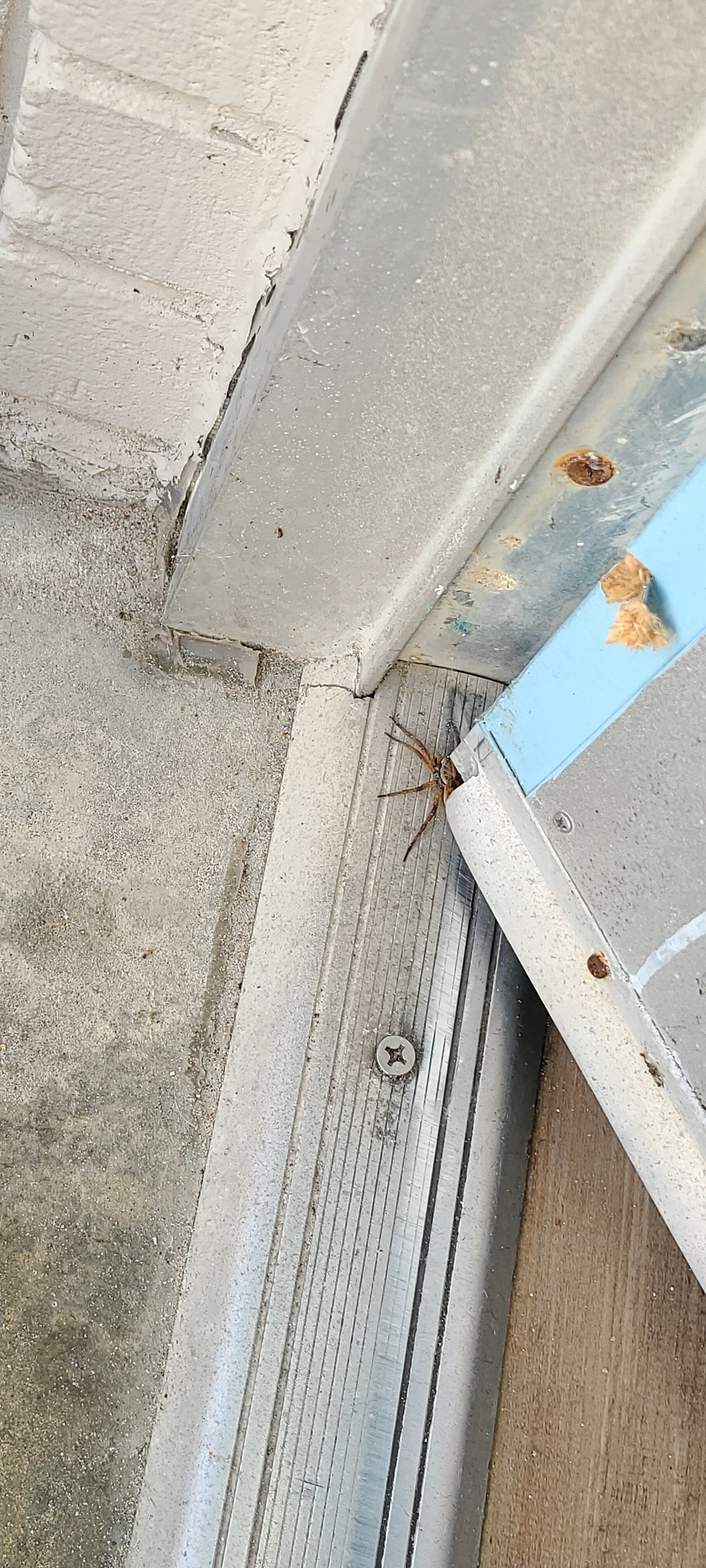 Oceanview Inn-官方