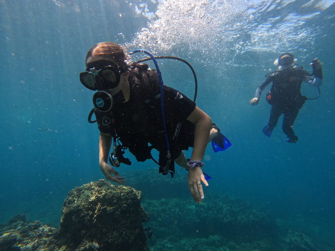 Mismaloya Adventures-Mismaloya必去景点