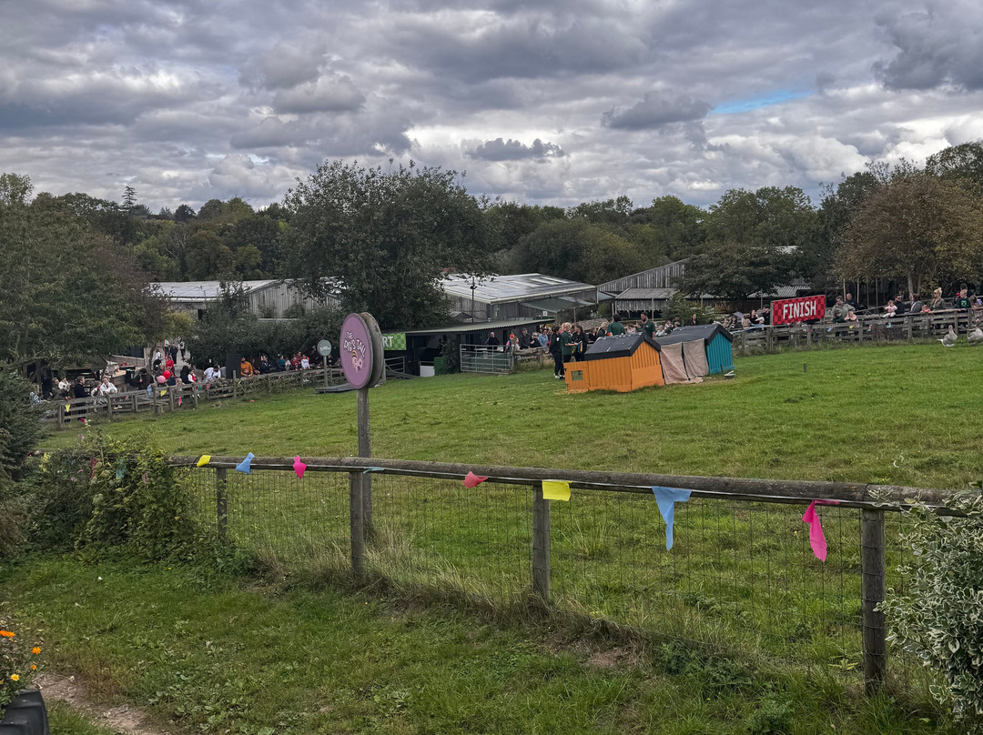 Bocketts Farm Park-莱瑟黑德必去景点