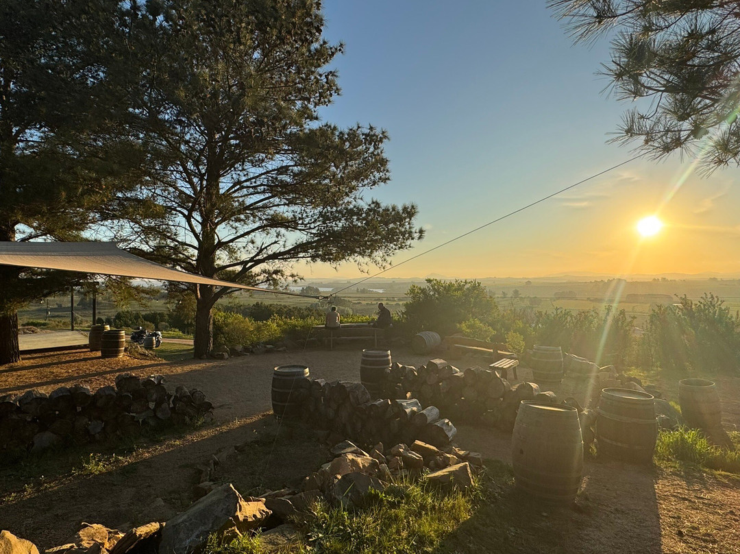 Alto de la Ballena-埃斯特角城必去景点