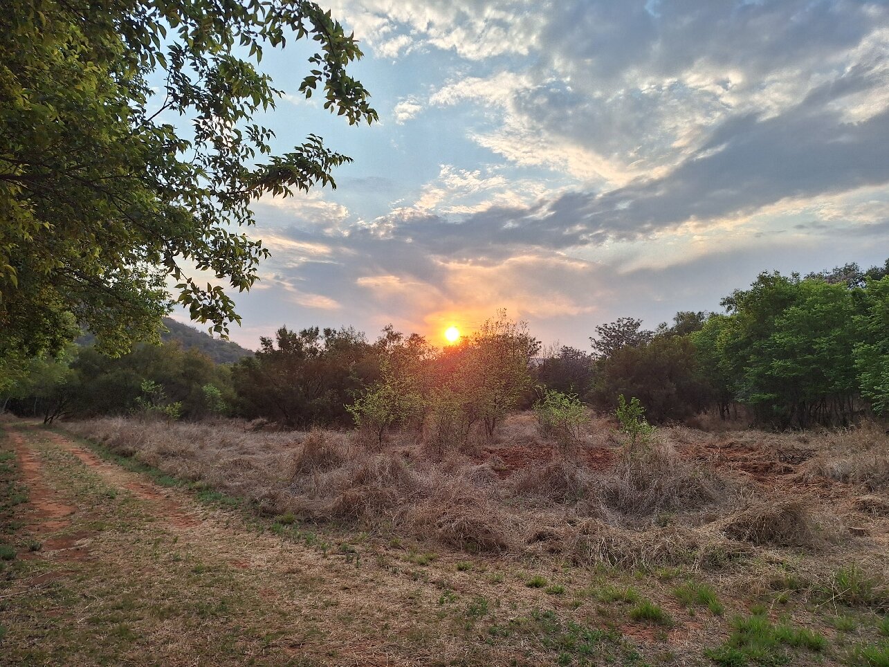 RiverStill Guest Farm-官方