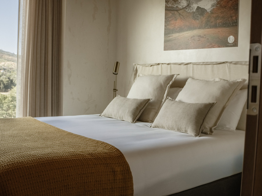 Soadro Do Zêzere主图