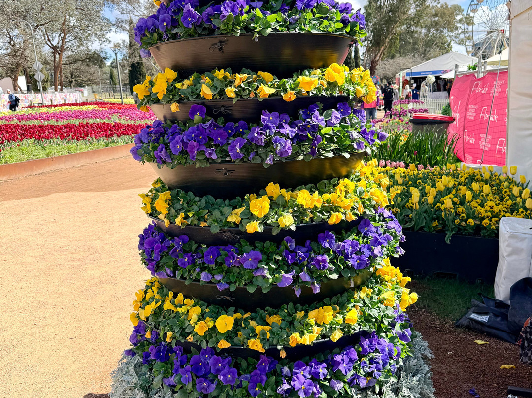 Floriade-堪培拉必去景点